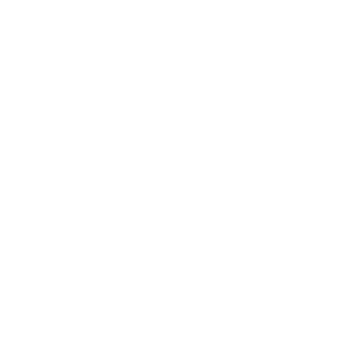 imss-logo