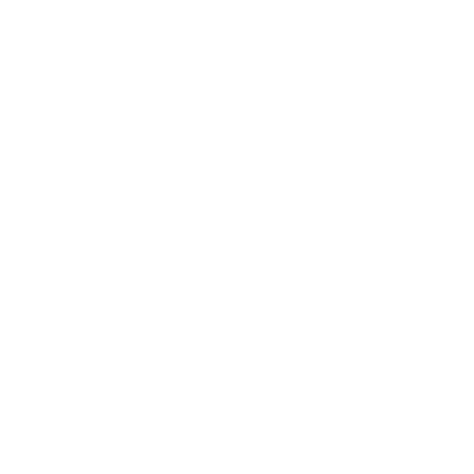 interpol revisión de antecedentes