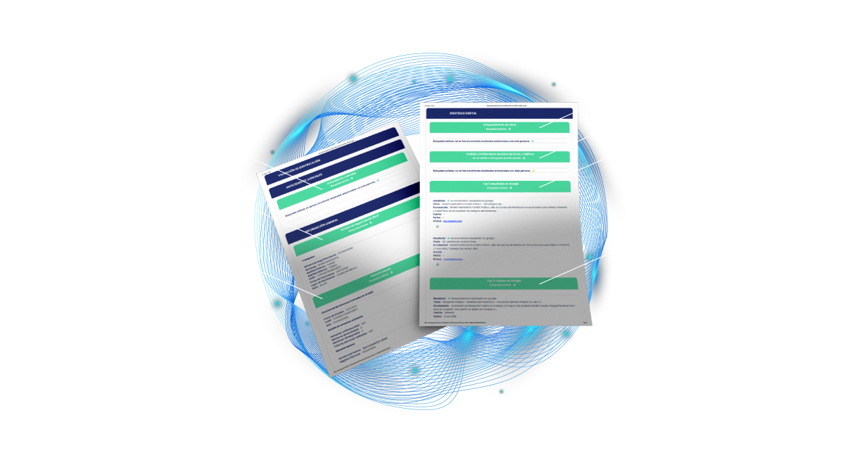 Background check reporte